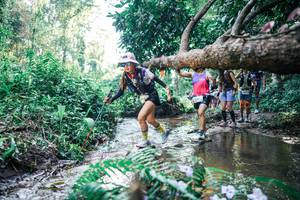 BIB: 
                            <button type="button" onclick="openModal(25448911)" class="btn btn-primary btn-sm float-right btn-popup" data-toggle="modal" data-target=".modal-high-quality">
                        <i class="fas fa-shopping-cart"></i> Add to Cart
                    </button>
                                            <button type="button" onclick="isThisMe(25448911, true)" class="btn btn-success btn-sm float-right btn-popup btn-isme hidden" data-toggle="tooltip" data-placement="bottom" title="นี่คือรูปของคุณใช่ไหม คลิกที่นี่เพื่อเอาเข้าอัลบั้ม">
                        <i class="fas fa-plus"></i> Add to album
                    </button>
                    <button type="button" onclick="isThisMe(25448911, false)" class="btn btn-warning btn-sm float-right btn-popup btn-isnotme hidden">
                        <i class="fas fa-ban"></i> Remove from album
                    </button>